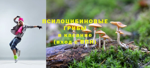 MESCALINE Арсеньев