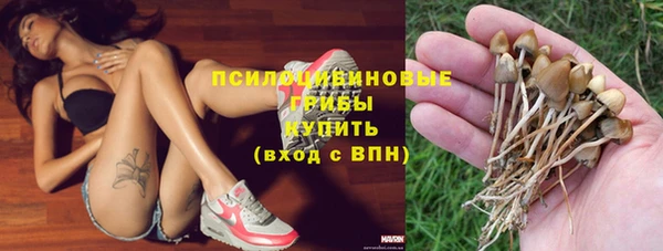 тгк Аркадак