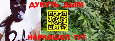 индика Гудермес