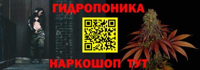 индика Гудермес