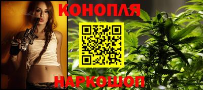 индика Гудермес