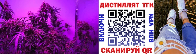Дистиллят ТГК Wax  Переславль-Залесский 