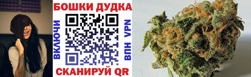 где купить наркотик  Переславль-Залесский  Бошки марихуана планчик 
